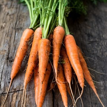 Minicor Carrot Seeds