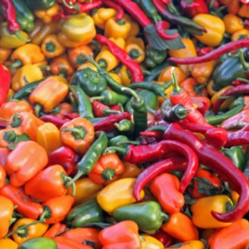 Peppers