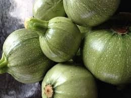 zucchini ronde de nice seeds