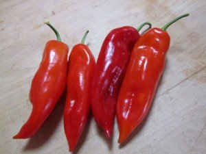 sullivan's favorite frying