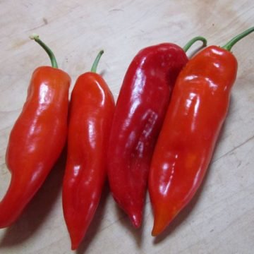 sullivans favorite frying italian pepper