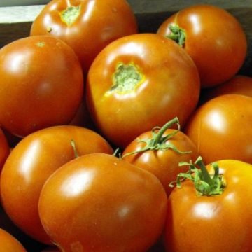 super lakota tomato seeds