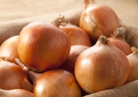 Short-Day Valencia Onion Seeds