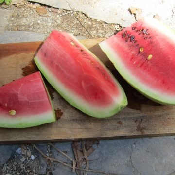 Ali Baba Watermelon Seeds