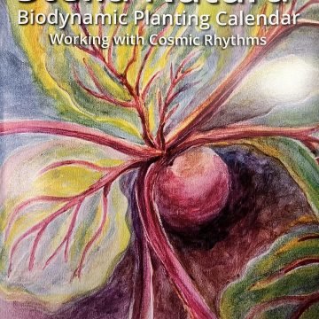 2026 Stella Natura Calendar 544