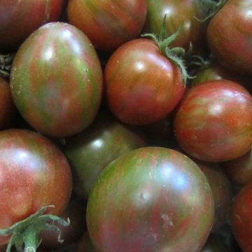 Purple Bumblebee Tomato Seeds