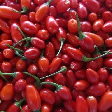 Chiltepe Bird Pepper Seeds