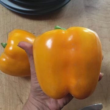 Golden California Wonder Seeds