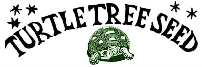 Turtle Tree Seed Initiative