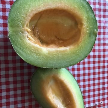 Green fleshed melon
